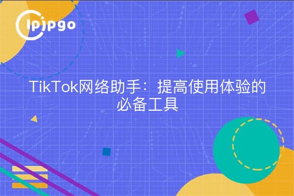 TikTok网络助手：提高使用体验的必备工具