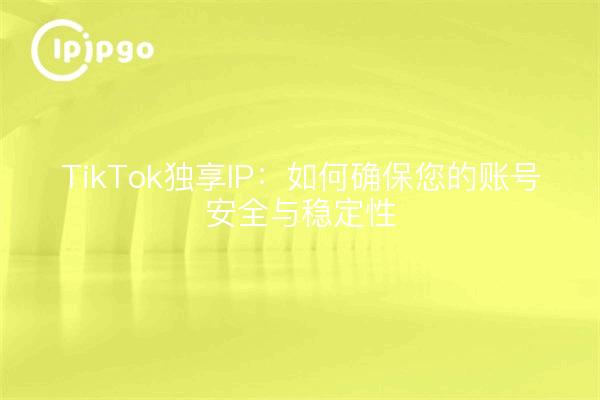 TikTok独享IP：如何确保您的账号安全与稳定性