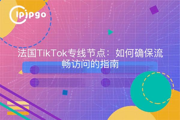 法国TikTok专线节点：如何确保流畅访问的指南