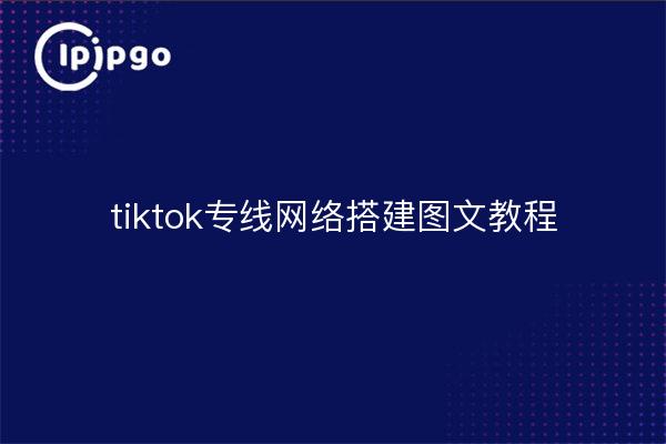 tiktok专线网络搭建图文教程