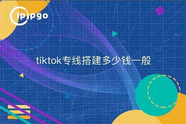 tiktok专线搭建多少钱一般