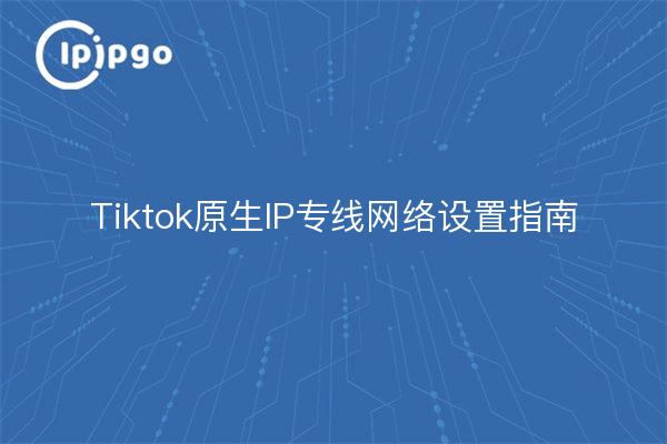 Tiktok原生IP专线网络设置指南