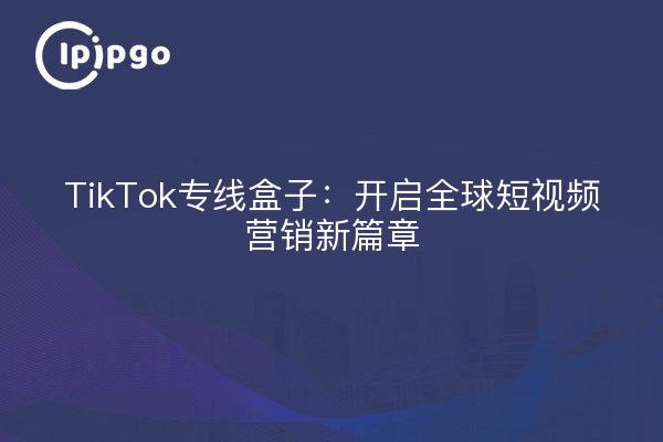 TikTok专线盒子：开启全球短视频营销新篇章