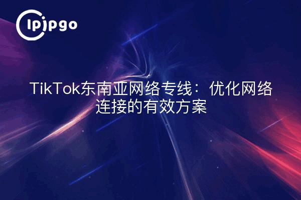 TikTok东南亚网络专线：优化网络连接的有效方案