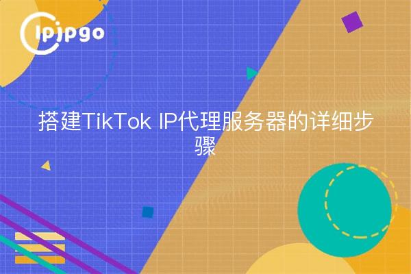 搭建TikTok IP代理服务器的详细步骤