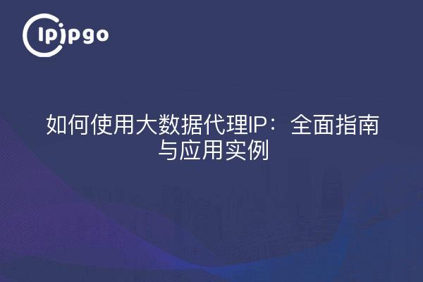 如何使用大数据代理IP：全面指南与应用实例