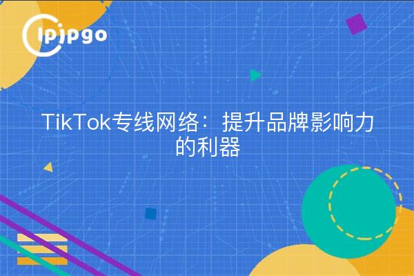 TikTok专线网络：提升品牌影响力的利器