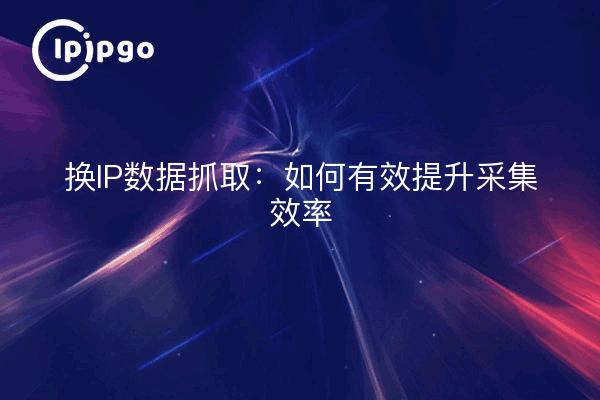 换IP数据抓取：如何有效提升采集效率