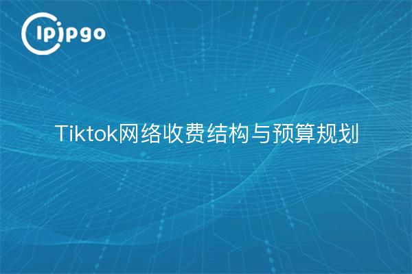 Tiktok网络收费结构与预算规划