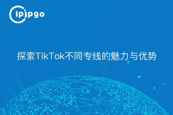 探索TikTok不同专线的魅力与优势