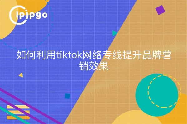 如何利用tiktok网络专线提升品牌营销效果