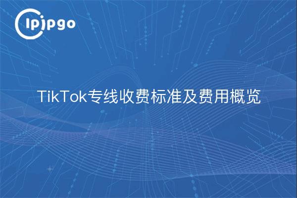 TikTok专线收费标准及费用概览