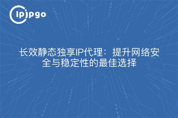 长效静态独享IP代理：提升网络安全与稳定性的最佳选择