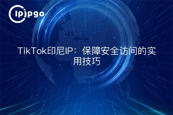 TikTok印尼IP：保障安全访问的实用技巧