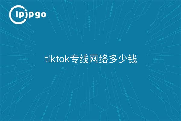 tiktok专线网络多少钱