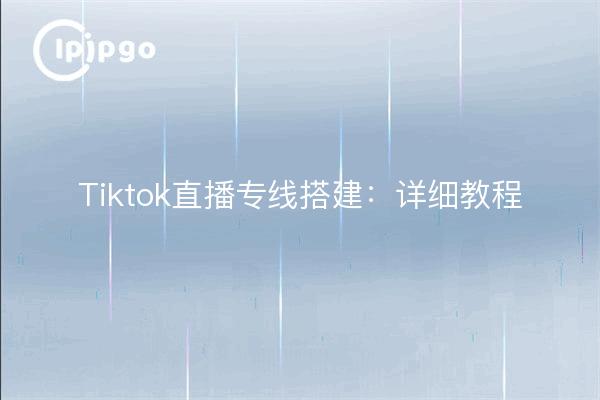 Tiktok直播专线搭建：详细教程