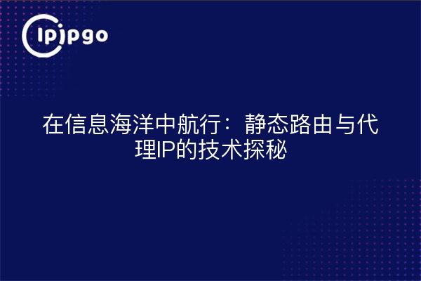 在信息海洋中航行：静态路由与代理IP的技术探秘