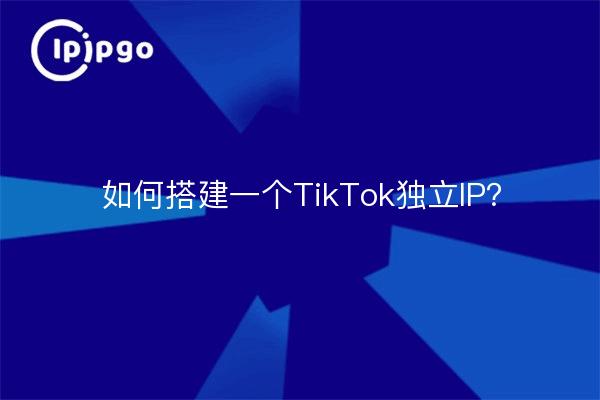 如何搭建一个TikTok独立IP？