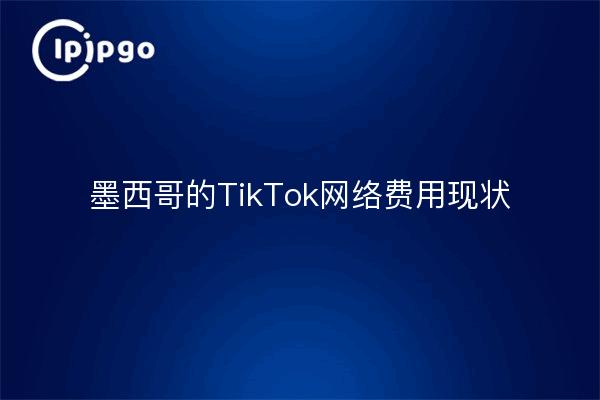 墨西哥的TikTok网络费用现状