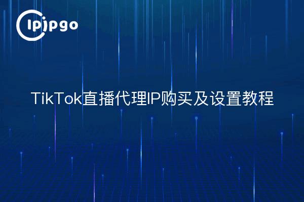 TikTok直播代理IP购买及设置教程