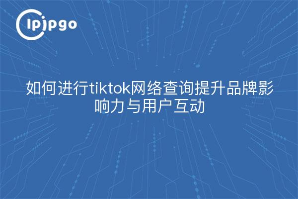 如何进行tiktok网络查询提升品牌影响力与用户互动