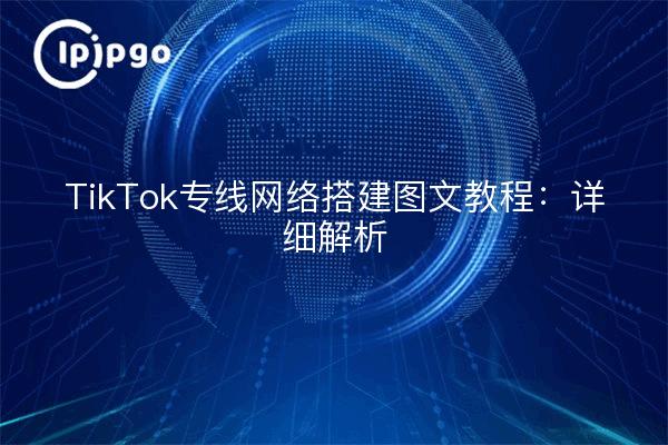 TikTok专线网络搭建图文教程：详细解析