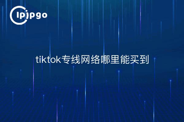 tiktok专线网络哪里能买到