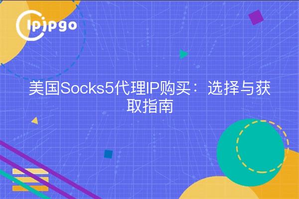 美国Socks5代理IP购买：选择与获取指南