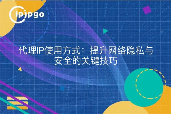 代理IP使用方式：提升网络隐私与安全的关键技巧