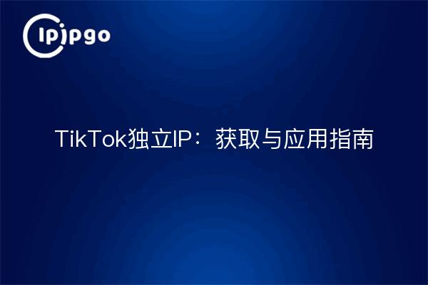 TikTok独立IP：获取与应用指南