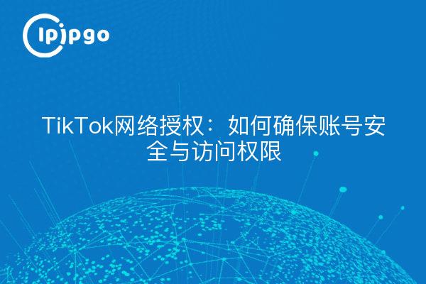 TikTok网络授权：如何确保账号安全与访问权限