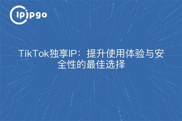 TikTok独享IP：提升使用体验与安全性的最佳选择