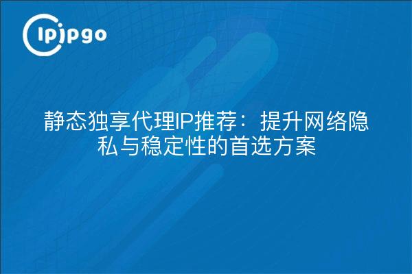 静态独享代理IP推荐：提升网络隐私与稳定性的首选方案