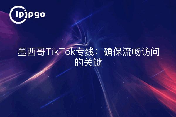 墨西哥TikTok专线：确保流畅访问的关键