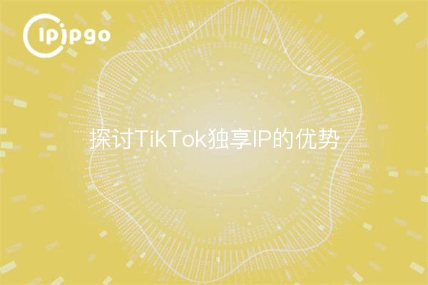 探讨TikTok独享IP的优势