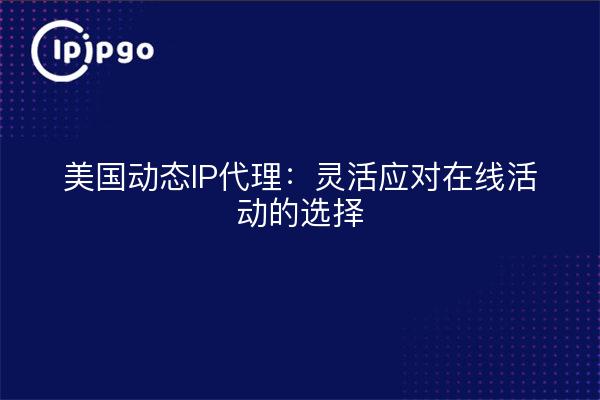 美国动态IP代理：灵活应对在线活动的选择