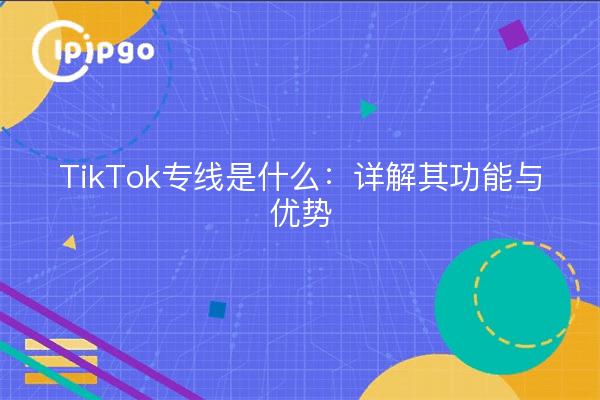 TikTok专线是什么：详解其功能与优势