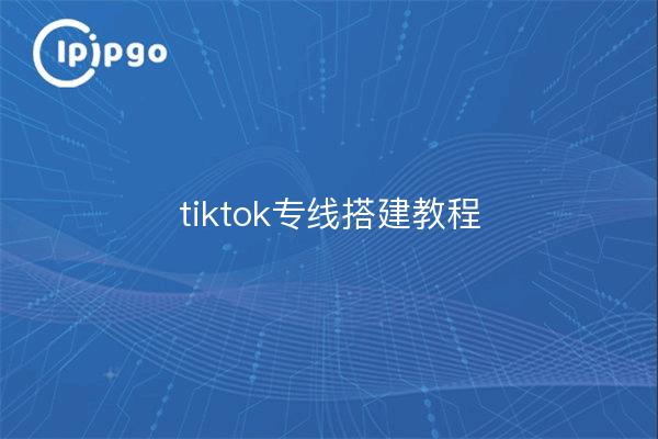 tiktok专线搭建教程