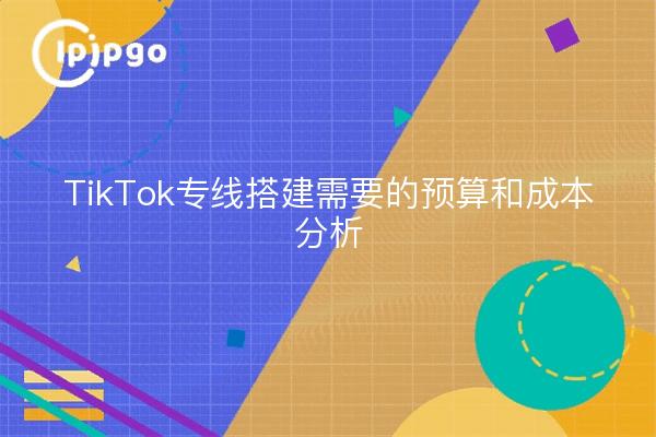 TikTok专线搭建需要的预算和成本分析