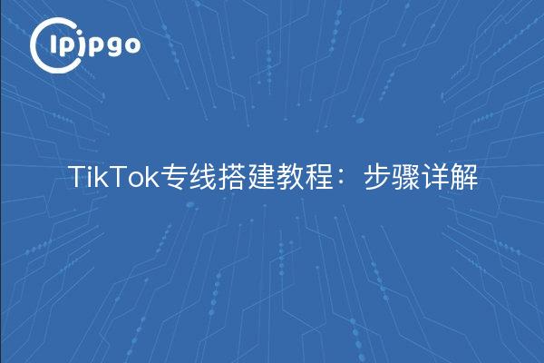 TikTok专线搭建教程：步骤详解