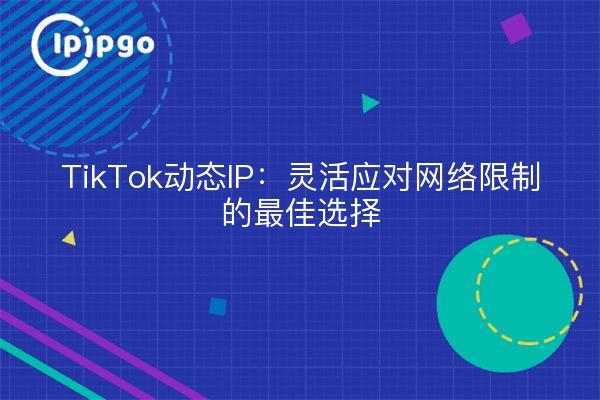 TikTok动态IP：灵活应对网络限制的最佳选择