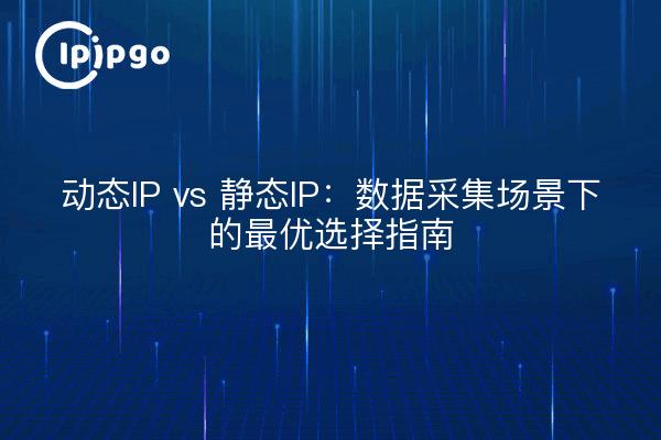 动态IP vs 静态IP：数据采集场景下的最优选择指南