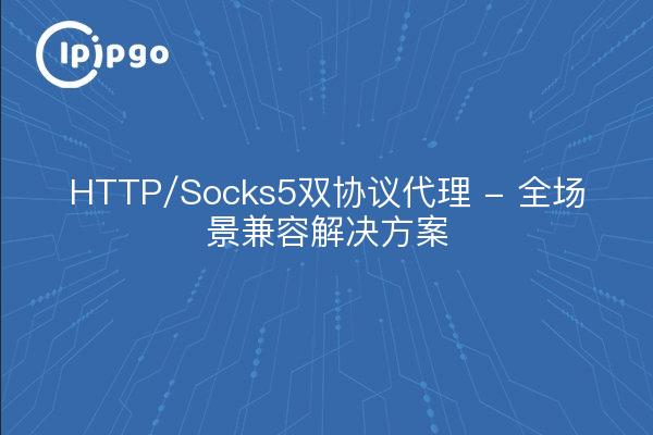 Proxy à double protocole HTTP/Socks5 - Solution compatible avec tous les scénarios