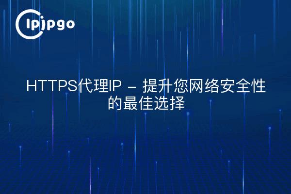 HTTPS代理IP - 提升您网络安全性的最佳选择