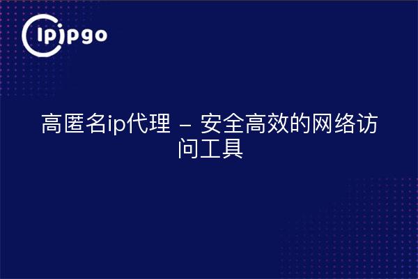 高匿名ip代理 - 安全高效的网络访问工具