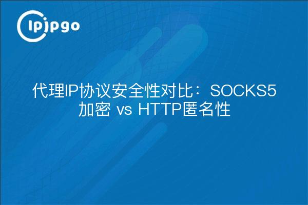 代理IP协议安全性对比：SOCKS5加密 vs HTTP匿名性