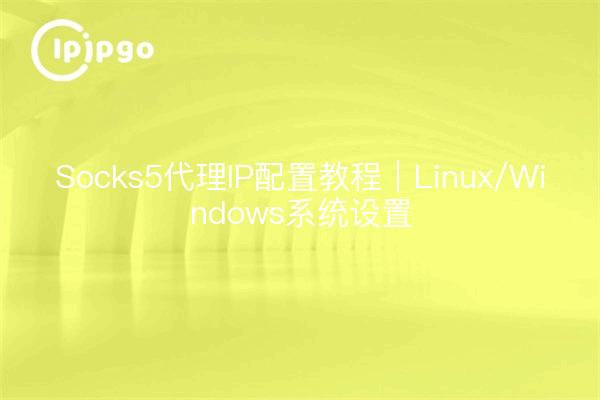 Socks5代理IP配置教程｜Linux/Windows系统设置