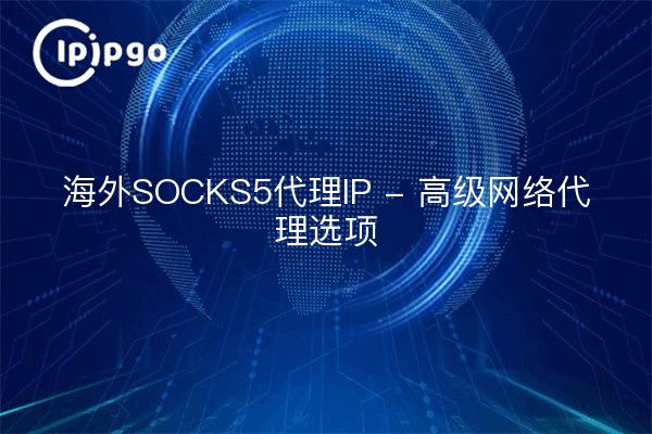 海外SOCKS5代理IP - 高级网络代理选项