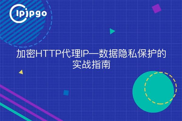 加密HTTP代理IP—数据隐私保护的实战指南