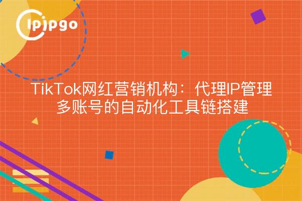 TikTok网红营销机构：代理IP管理多账号的自动化工具链搭建